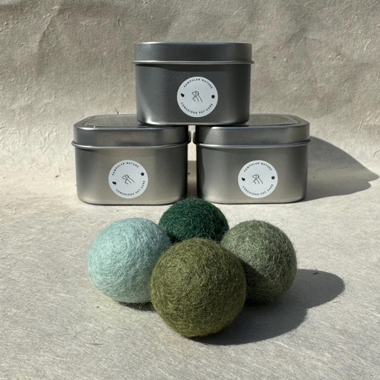 friendly gift for cat lover aesthetic cat toy