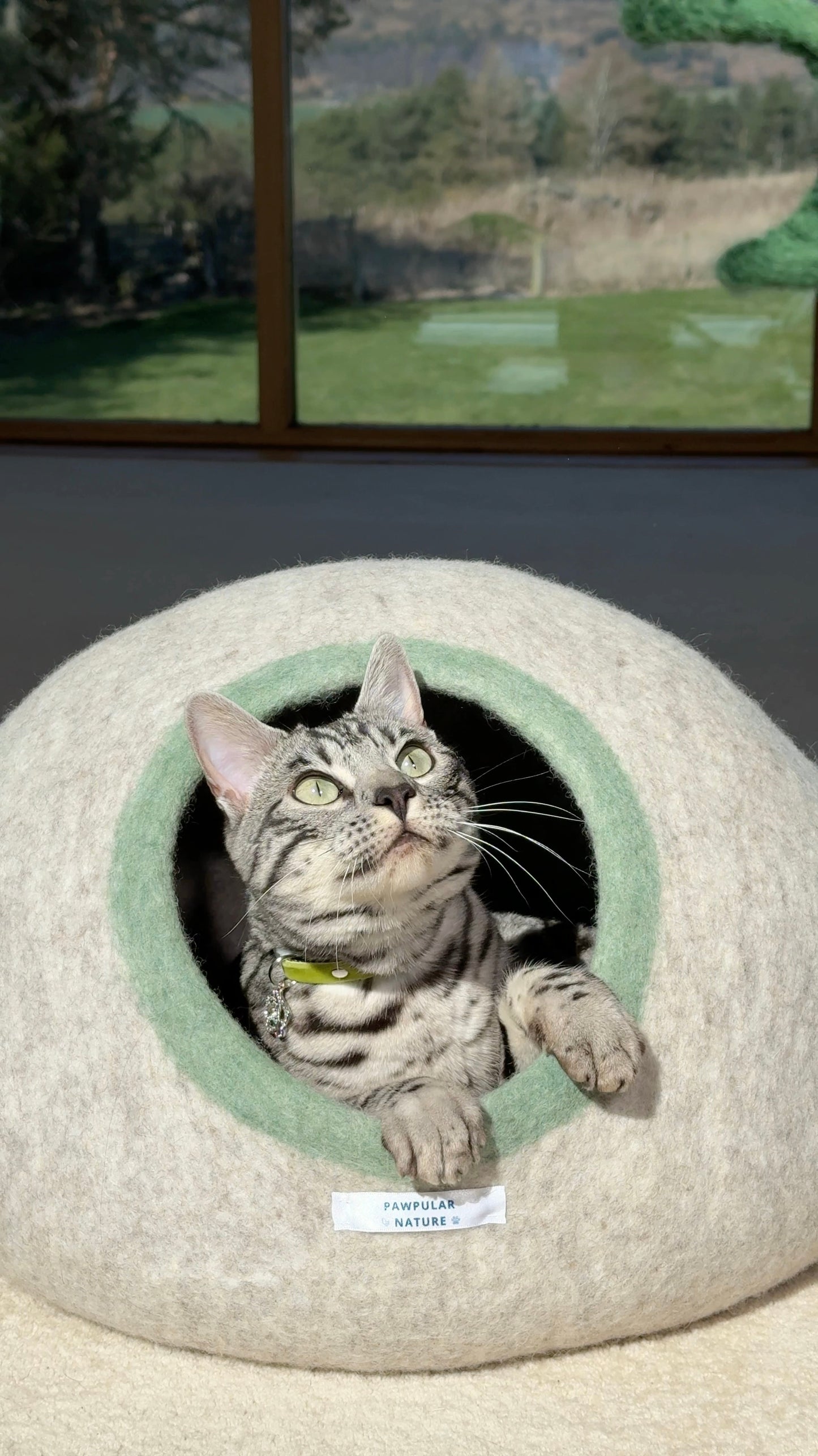 Wool Felt Cat Cave For Cats and Small Dogs | Handmade Eco-friendly Pet Bed
