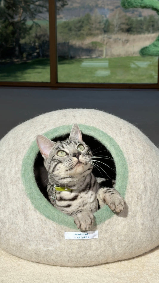 Wool Felt Cat Cave For Cats and Small Dogs | Handmade Eco-friendly Pet Bed