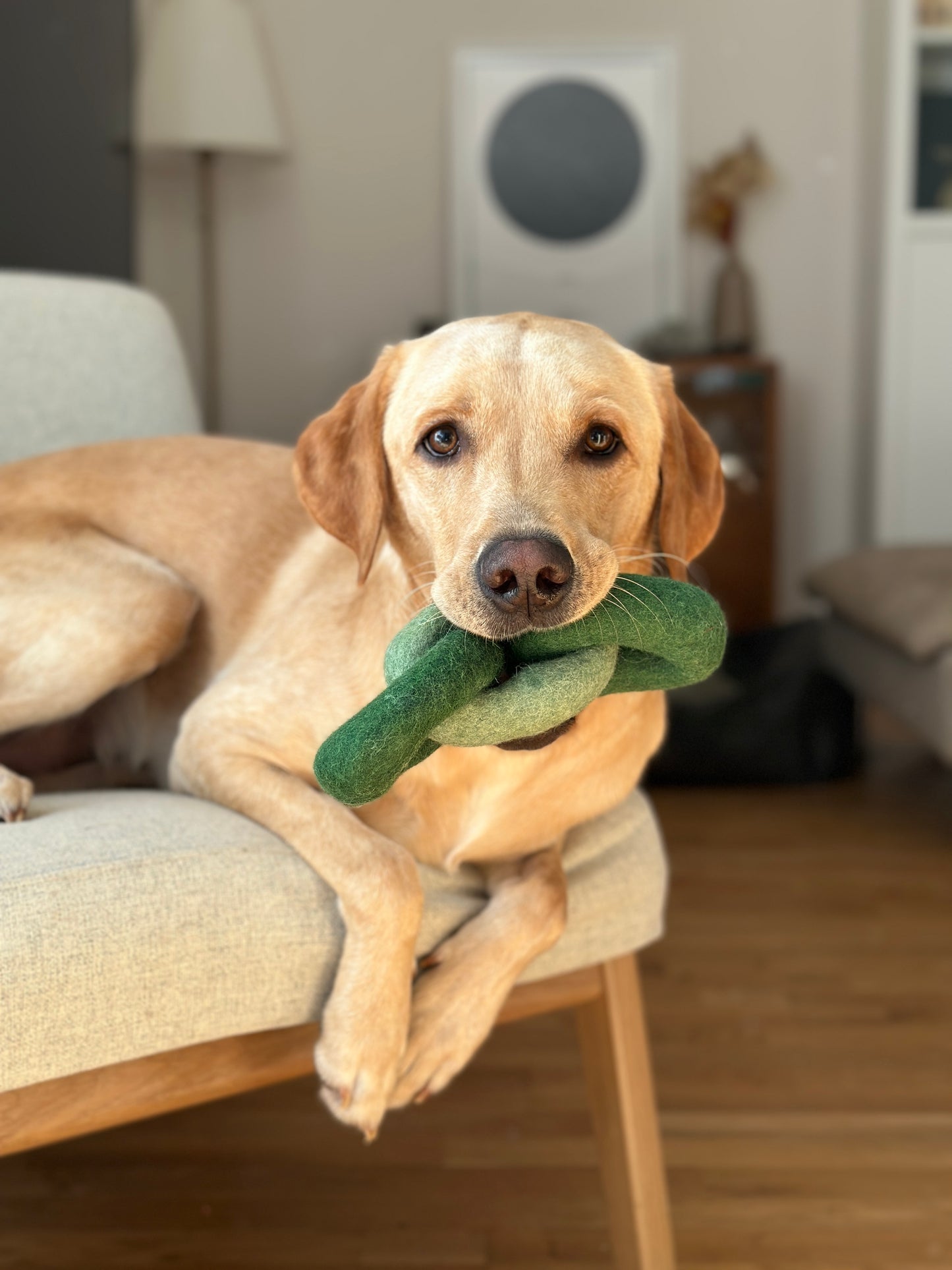 Felt Interlocking Rings Dog Toy – Handmade from Natural Wool