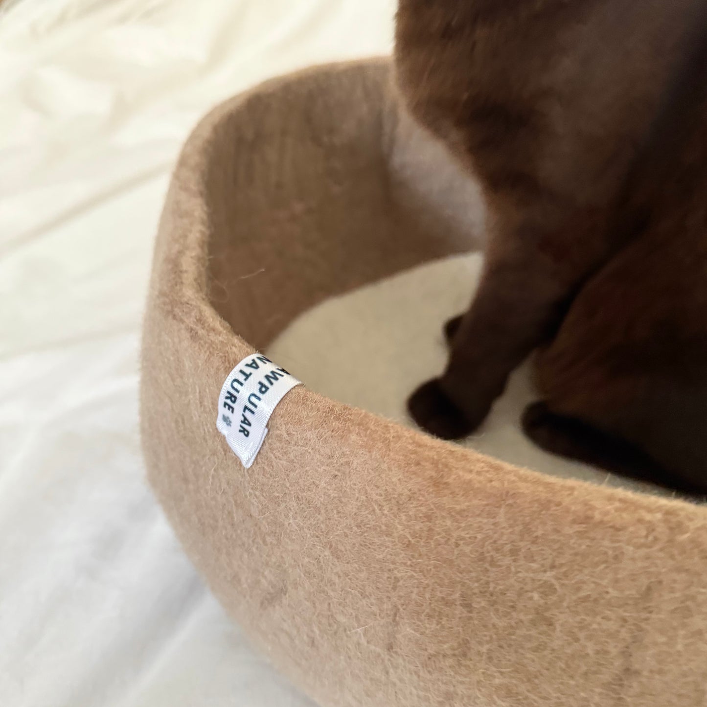 Minimal Wool Felt Cat Bed – Handmade Modern Pet Furniture with Cushion