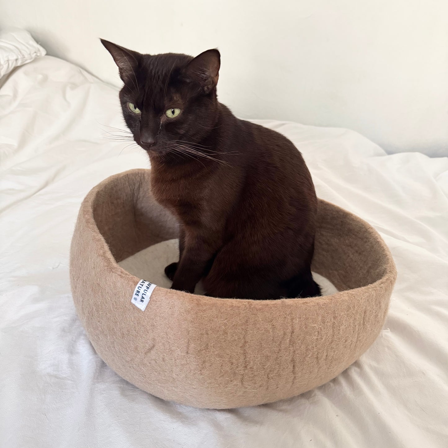 Minimal Wool Felt Cat Bed – Handmade Modern Pet Furniture with Cushion