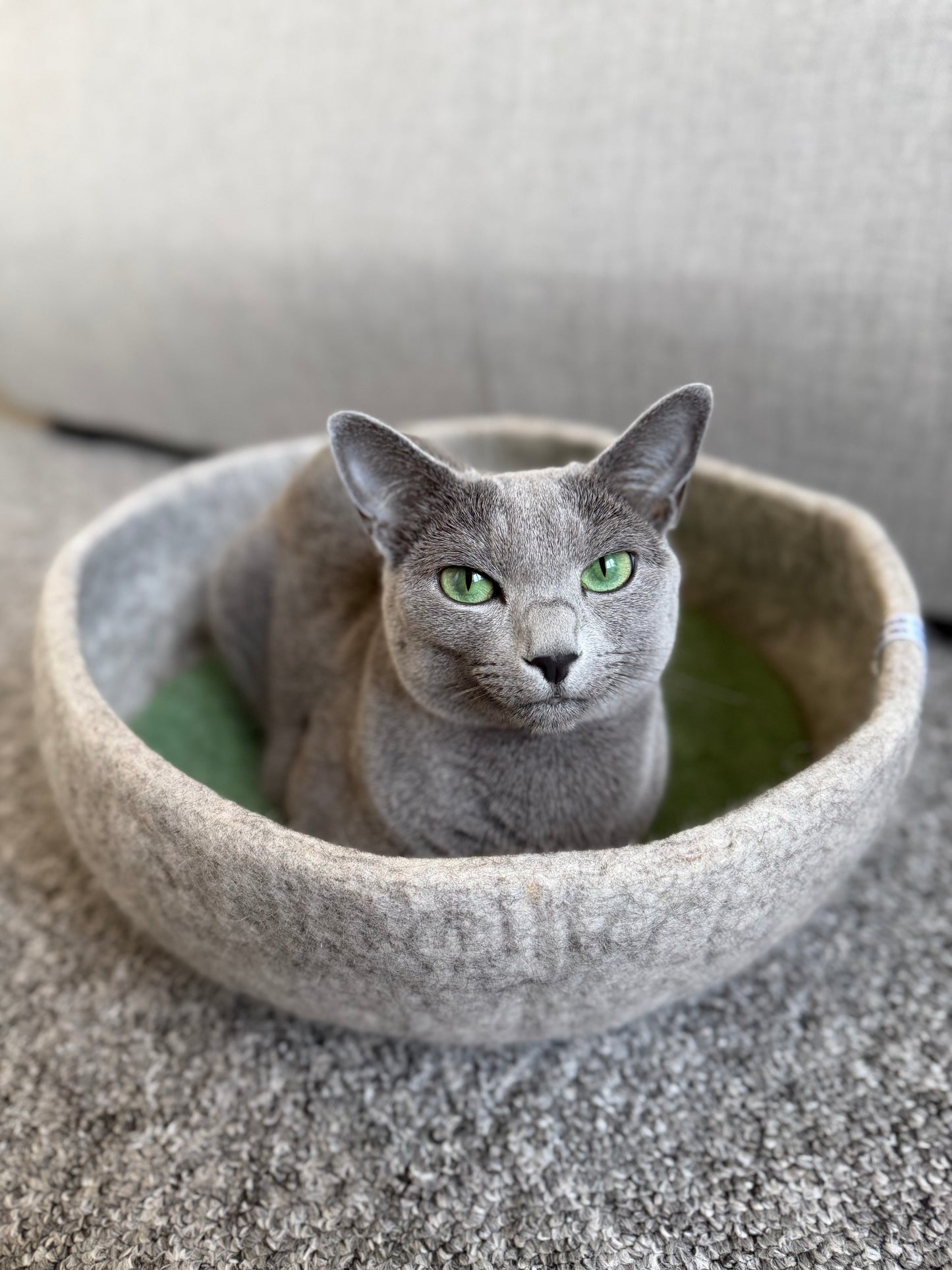 Minimal Wool Felt Cat Bed – Handmade Modern Pet Furniture with Cushion