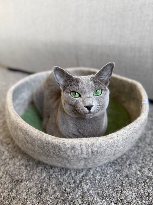 Minimal Wool Felt Cat Bed – Handmade Modern Pet Furniture with Cushion