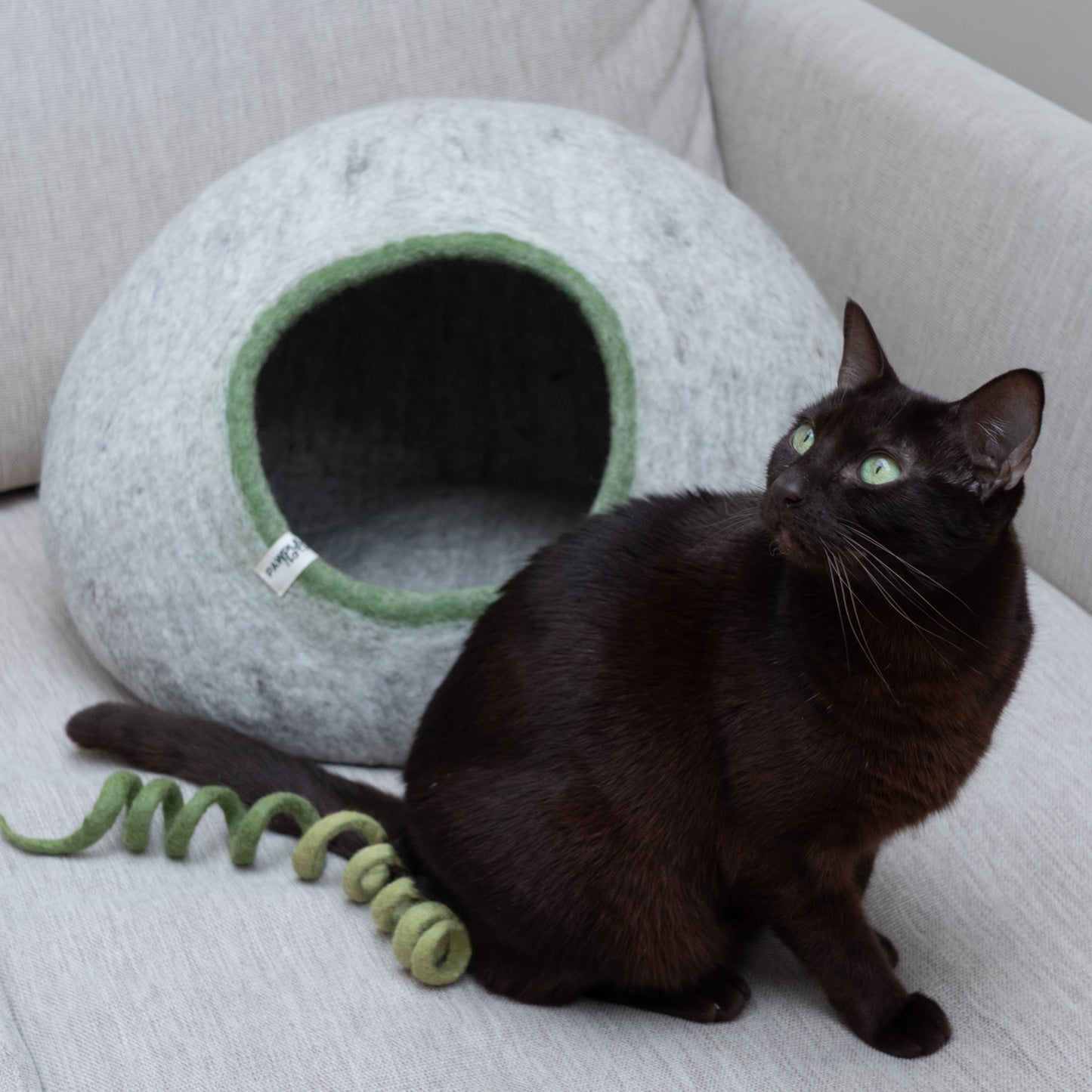 Felt Spiral Cat Toy – Handmade Wool Chaser Toy