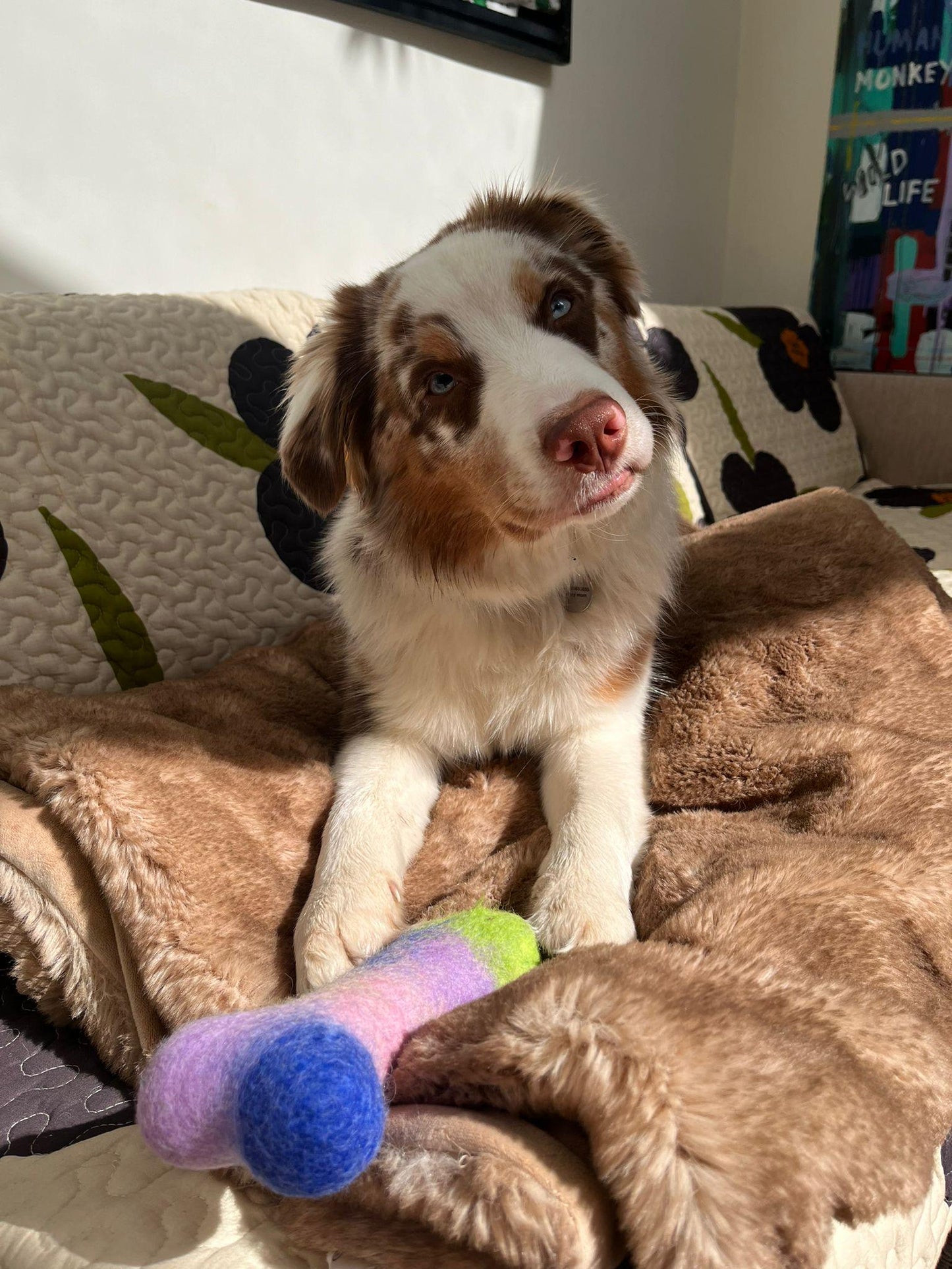 Felt Bone Dog Toy – Handmade from Natural Wool