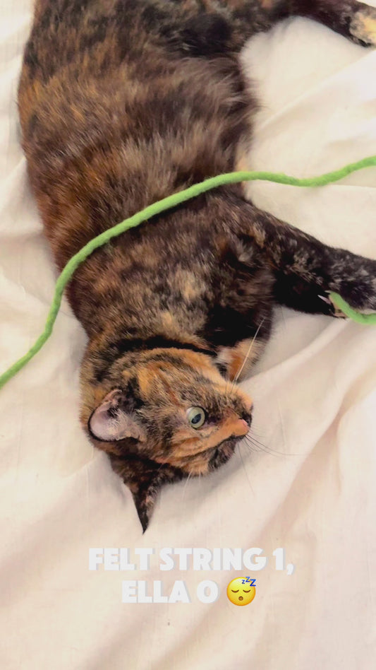 Felt String Cat Toy – Natural Wool Teaser for Interactive & Solo Play