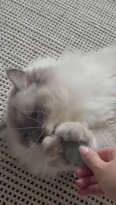 Wool Felt Fish Cat Toy – Handmade Natural Sardine Toy