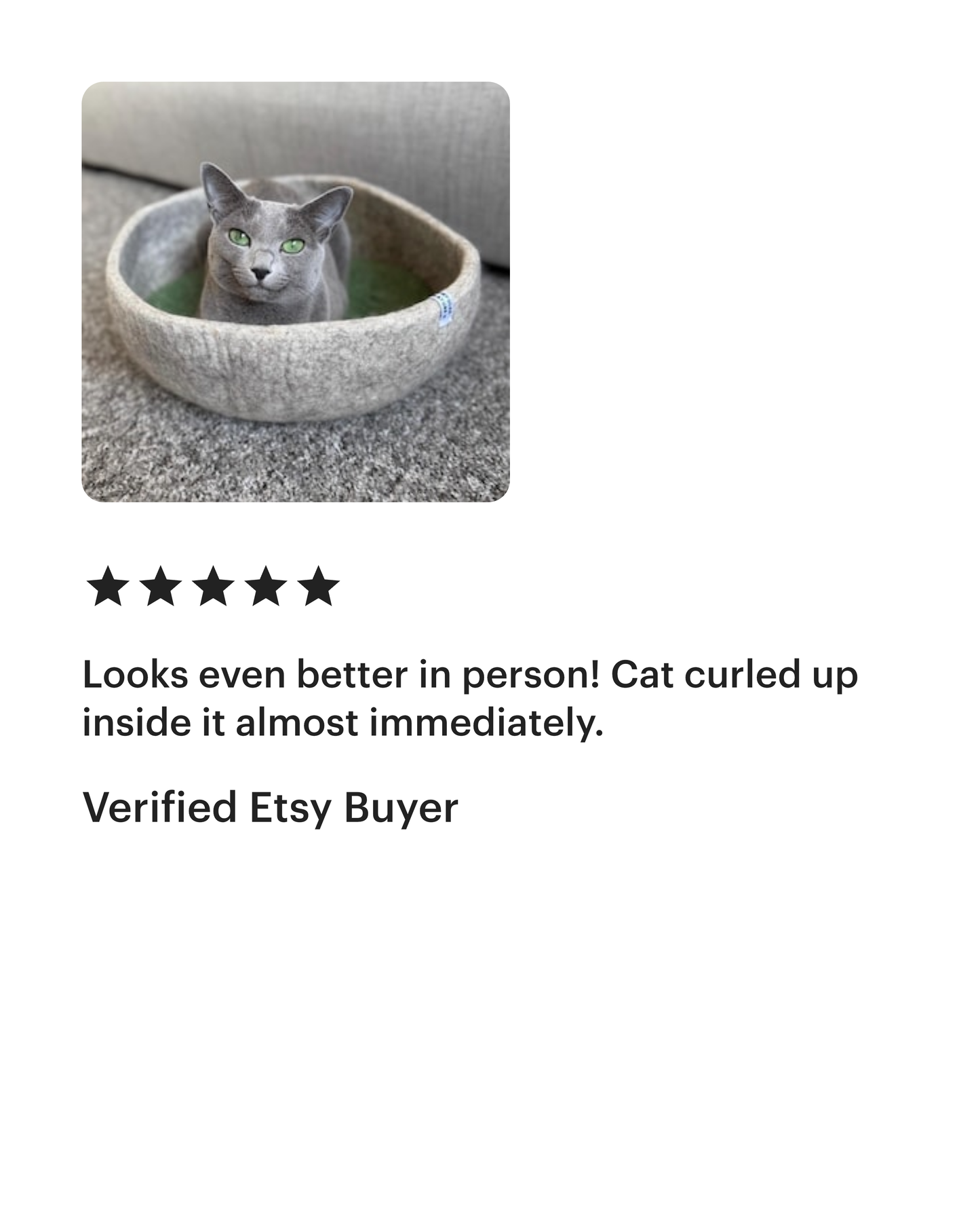 Minimal Wool Felt Cat Bed – Handmade Modern Pet Furniture with Cushion